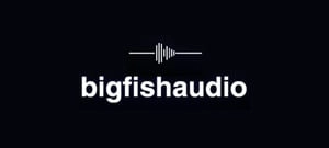 Big Fish Audio logo