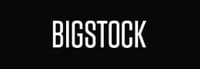 Bigstock logo