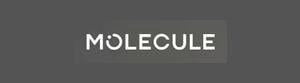 Molecule Mattress logo