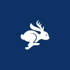 Sawyer logo