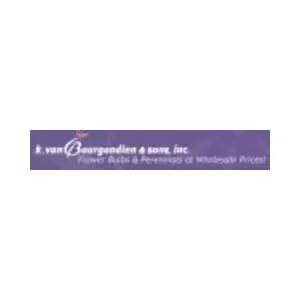 K. Van Bougodien Flower Bulbs logo