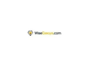 WiseEssays.com logo