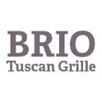 BRIO logo